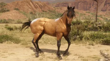 Buckskin