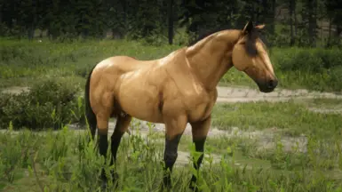 Spirit: Stallion of the Cimarron Coat