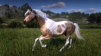 Dapple Palomino Pintabian
