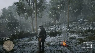 With Simple Snow Mod