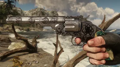 Dakota's Revolver