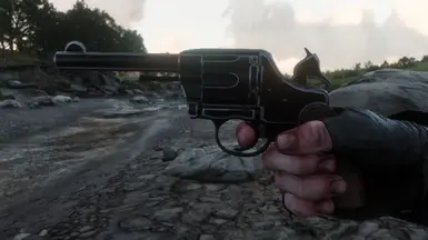 Factory Finish Double-Action Revolver