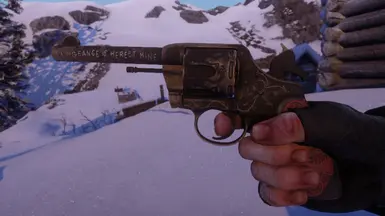 Micah's Revolver