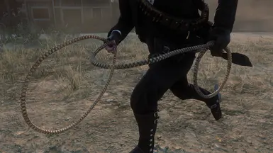 Reinforced Lasso