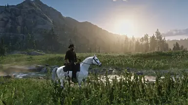 Best Reshade Ever at Red Dead Redemption 2 Nexus - Mods and community