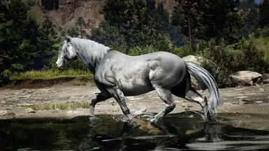 Reworked Originals - Grey Sabino (White Roan Replacer)