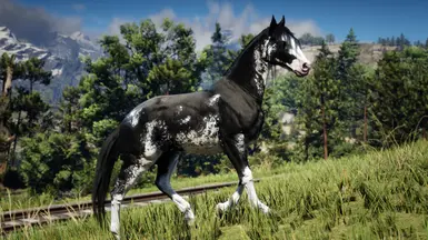 Black Sabino