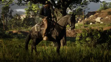 The Updated Nokota Horse at Red Dead Redemption 2 Nexus - Mods and ...