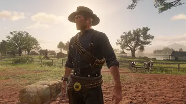 Red Dead Redemption 2 download the last version for ios