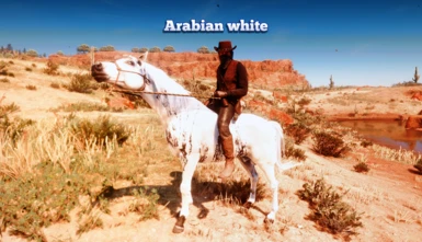 Arabian White