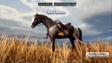 Arabian Redchestnut pc