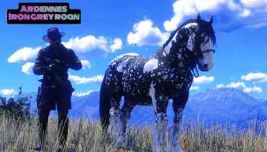 Ardennes Black Dapple Pinto