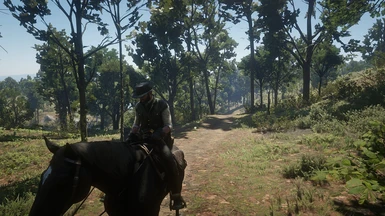 Very low settings.xml(integrated graphics may work) at Red Dead Redemption 2  Nexus - Mods and community