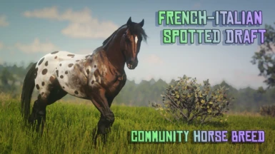 French-Italian Spotted Draft - Community Horse Breed