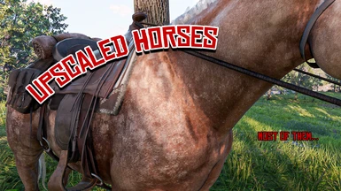 Upscaled Horses