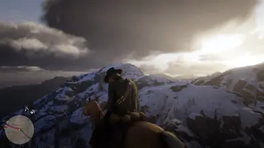 Settings for rdr 2 for 2 gigabytes of video cardsS