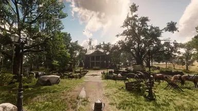 Shady Belle overhaul at Red Dead Redemption 2 Nexus - Mods and community