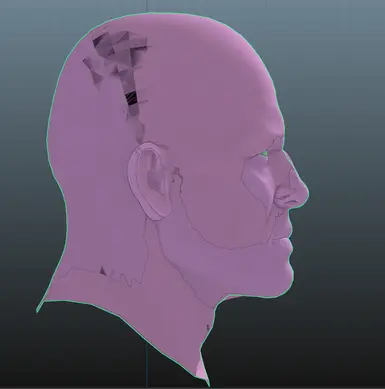 Green outline is new head model