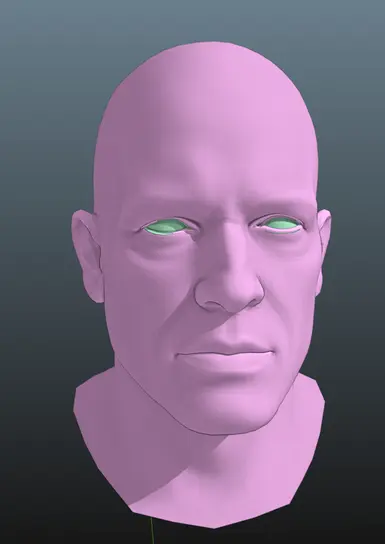 Vanilla head model