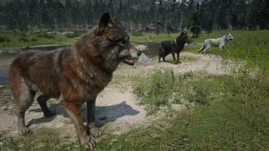 Online Wolves Unlocked for SP