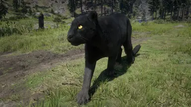 Online Cougars Unlocked for SP at Red Dead Redemption 2 Nexus - Mods ...