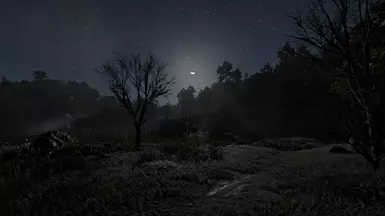 Brighter Nights