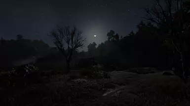 Normal Nights