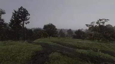 Sleet weather