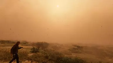 Sandstorm