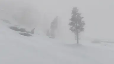 Whiteout