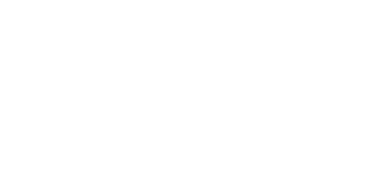 (Hereford Bull)