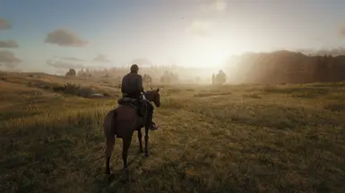 Cool Cinematic ReShade at Red Dead Redemption 2 Nexus - Mods and community