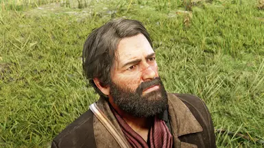 1.1 new hair and beard color 