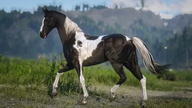 Black Tobiano