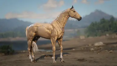 Palomino