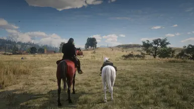 SIZE COMPARE WITH DEFAULT ARABIAN