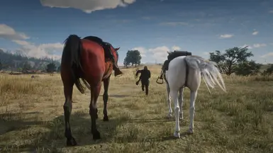 SIZE COMPARE WITH DEFAULT ARABIAN