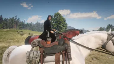 SIZE COMPARE WITH DEFAULT ARABIAN