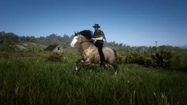 Grulla Dun
