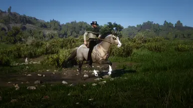 Grulla Dun