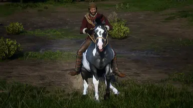Blue Roan I