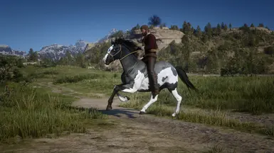 Blue Roan I