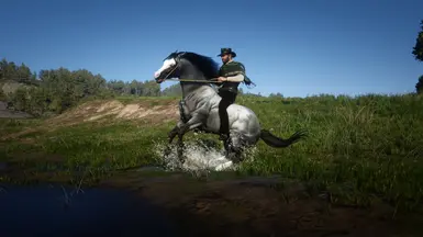 Blue Roan II [ Version 1 ]