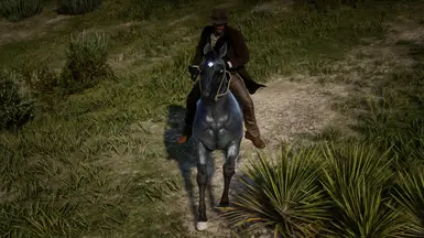 Blue Roan II [ Version 2 ]