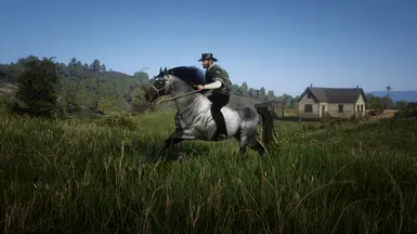 Blue Roan II [ Version 2 ]