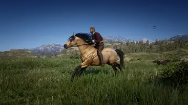 Buckskin