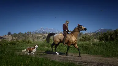 Buckskin