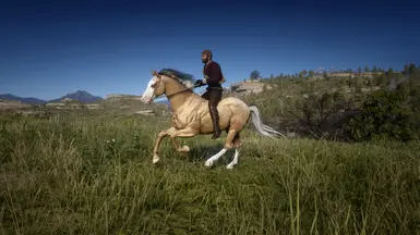 Palomino