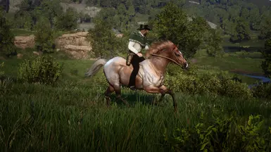 Red Roan