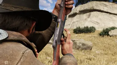 NEW: Resize + bullet in chamber